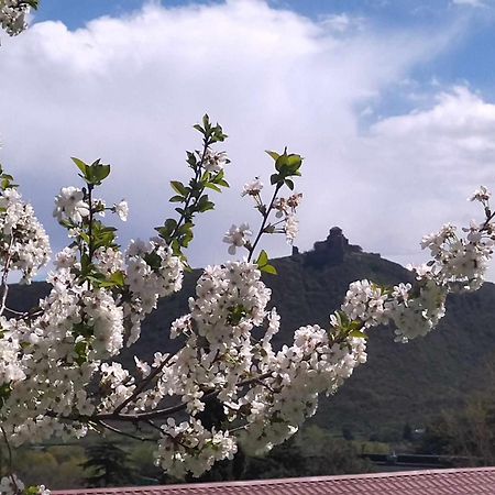 Отель Garden And Panorama Мцхета Экстерьер фото