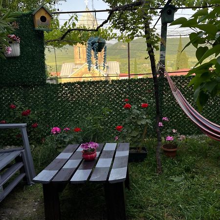 Отель Garden And Panorama Мцхета Экстерьер фото