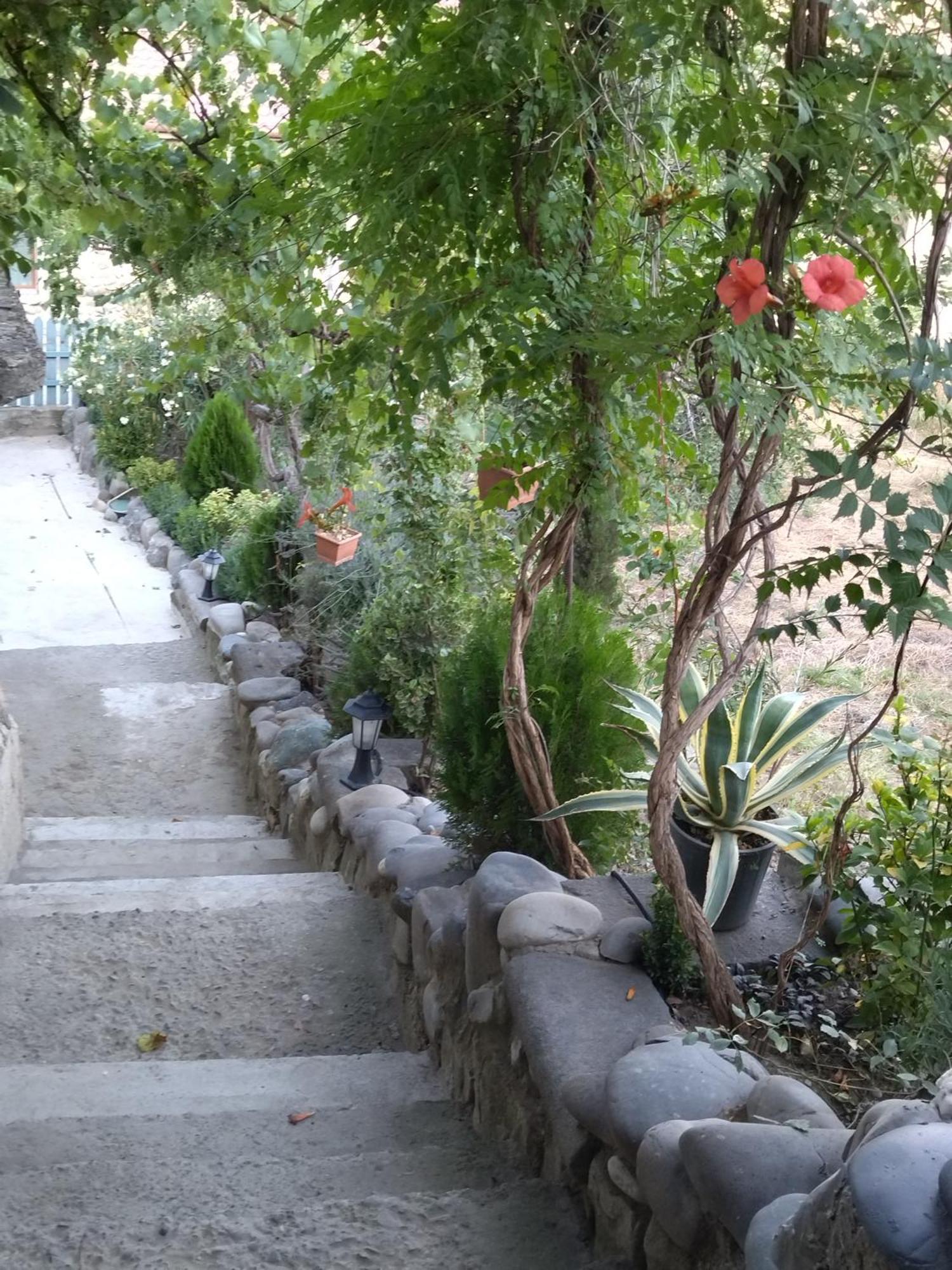 Отель Garden And Panorama Мцхета Экстерьер фото